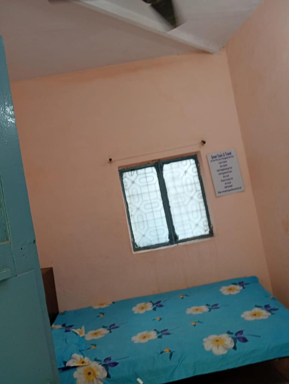 Ever Green Guest House Travel & Pg New Delhi Eksteriør billede