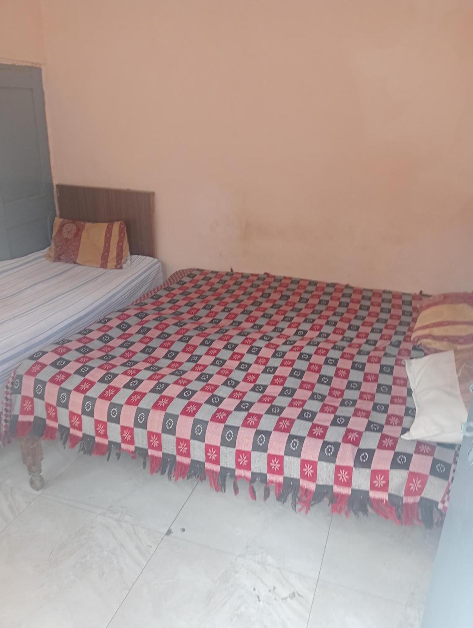 Ever Green Guest House Travel & Pg New Delhi Eksteriør billede