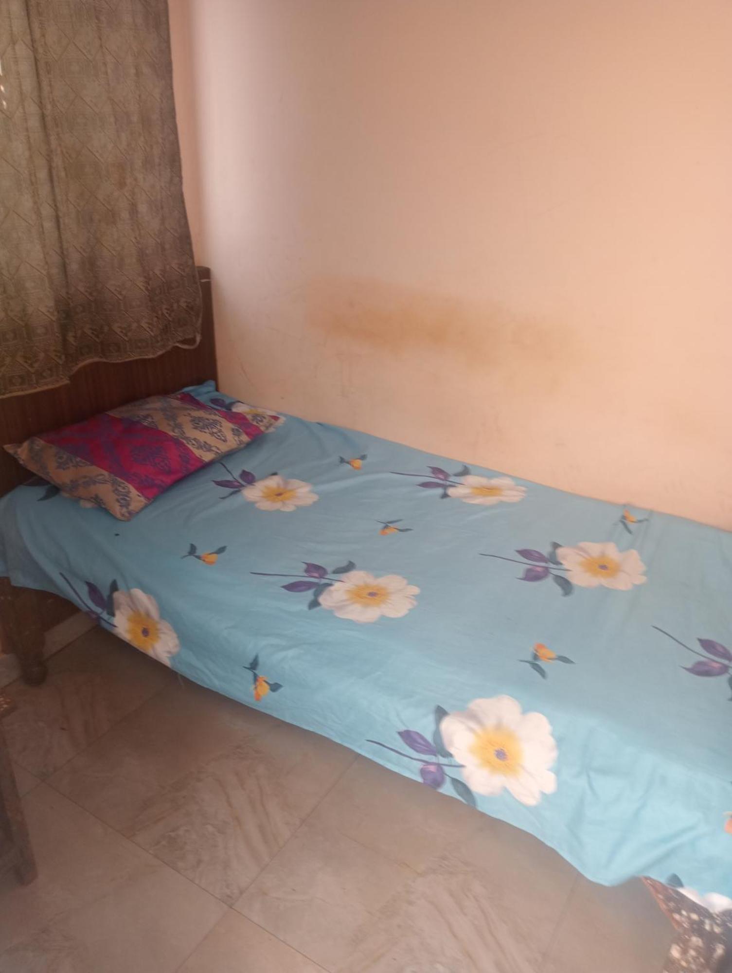 Ever Green Guest House Travel & Pg New Delhi Eksteriør billede