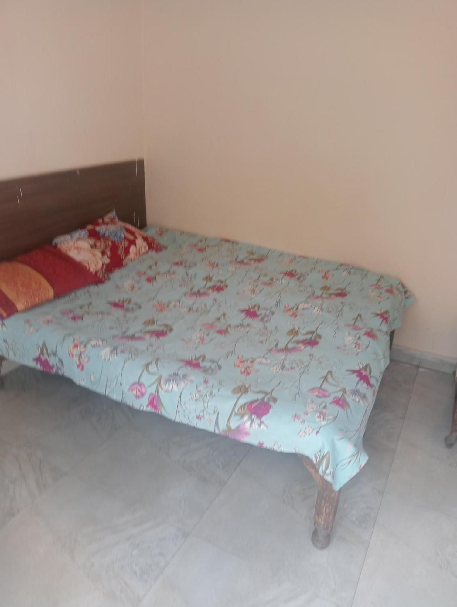Ever Green Guest House Travel & Pg New Delhi Eksteriør billede