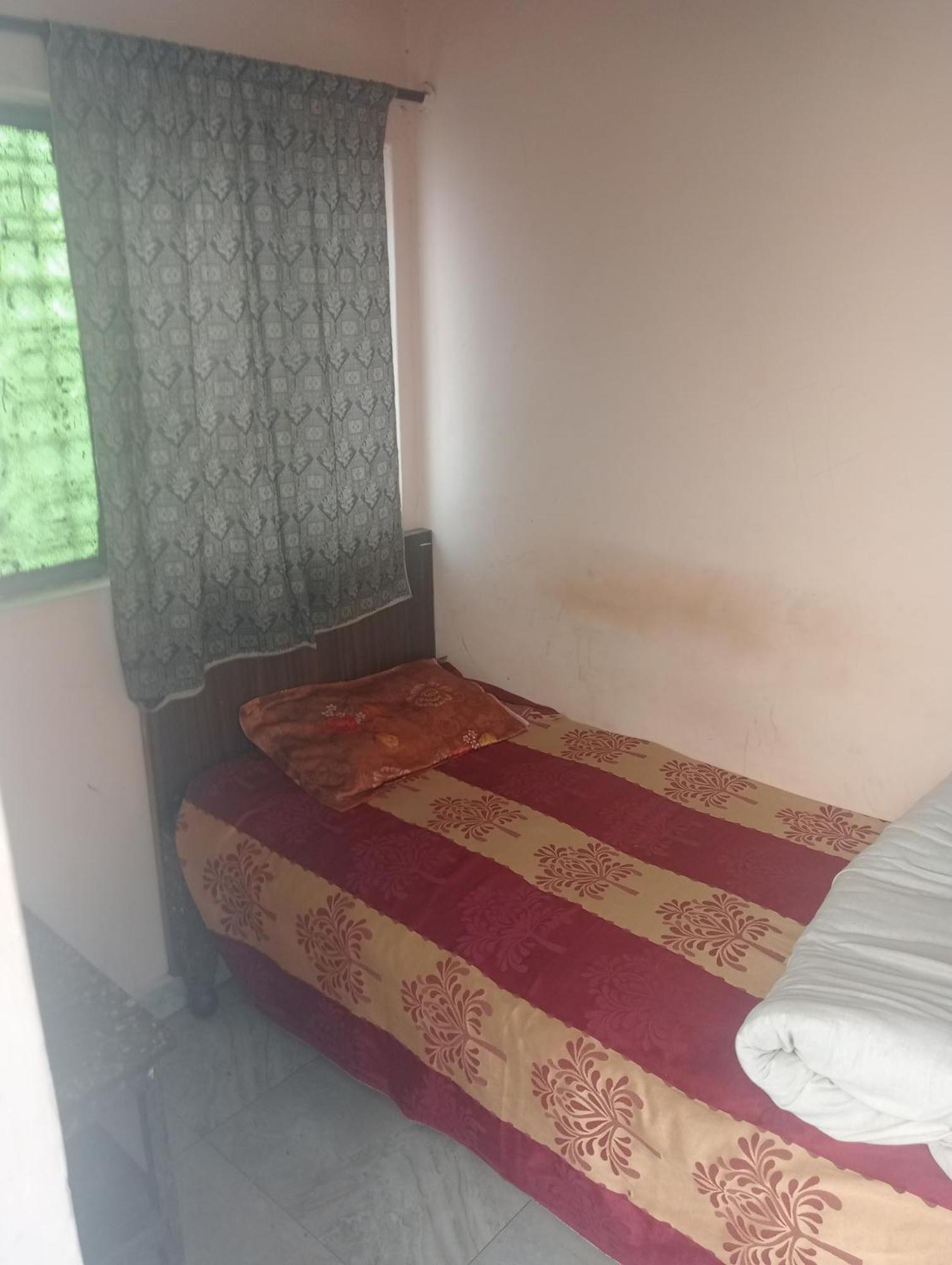 Ever Green Guest House Travel & Pg New Delhi Eksteriør billede