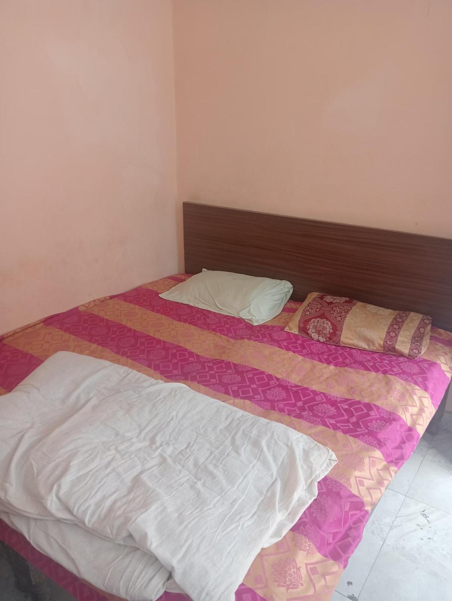 Ever Green Guest House Travel & Pg New Delhi Eksteriør billede