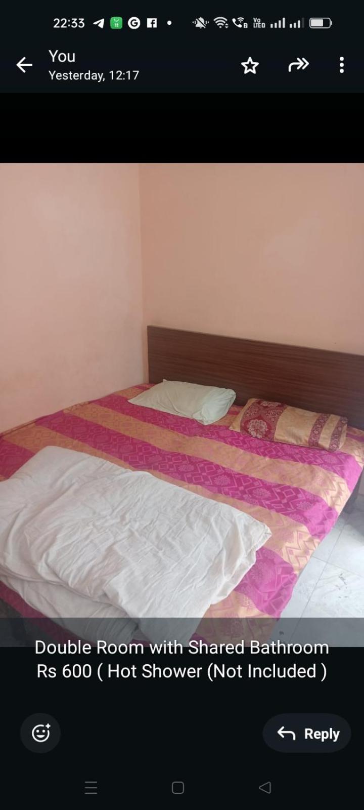 Ever Green Guest House Travel & Pg New Delhi Eksteriør billede