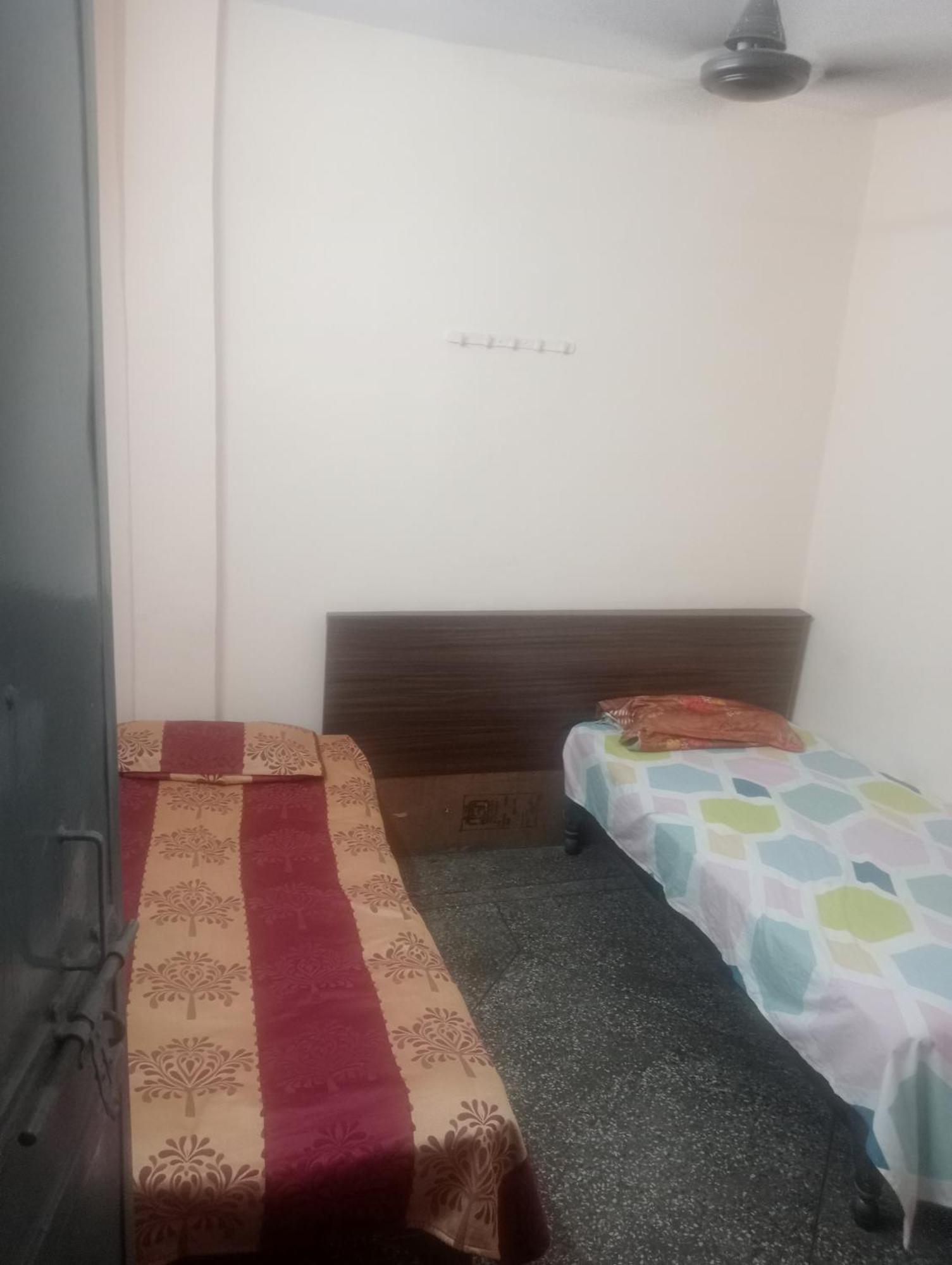 Ever Green Guest House Travel & Pg New Delhi Eksteriør billede